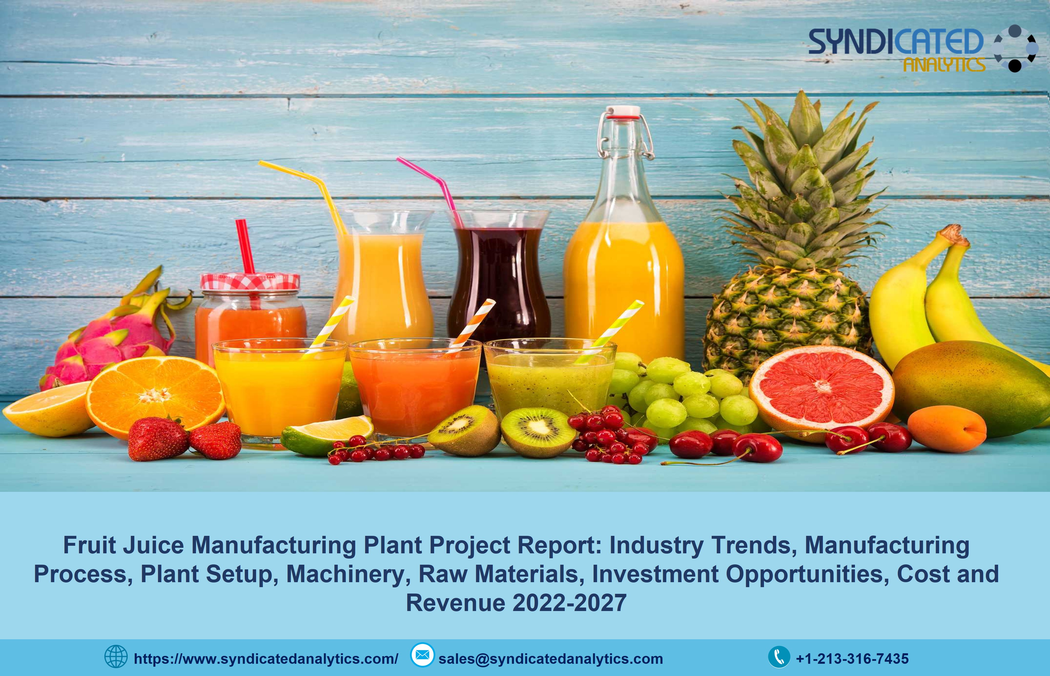 fruit juice production business plan pdf